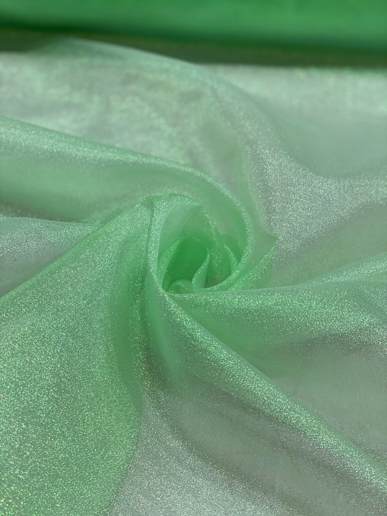 Organza Lame/Ala De Mosca